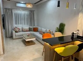 Magnifique appartement moderne (avec Wifi)