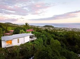 La Ravine, Luxe, avec Jacuzzi, Vue unique et Lit à eau