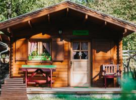 Vidra Park, alloggio vicino alla spiaggia a Sicasău