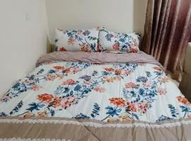 HOMESIDE SERVICED APARTMENTs