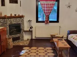 Cabana Cotu lui Iepure