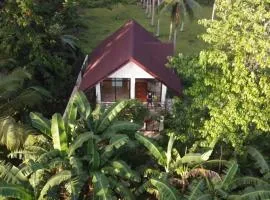 4 Bedrooms Guesthouse with Pool and Mangrove Park