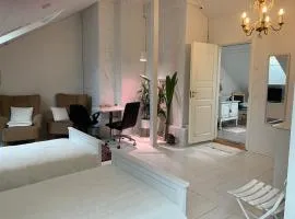 Tampere keskusta ainutlaatuinen iso huone oma kph puutalo-osakkeessa