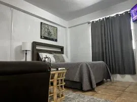 Roseau City Hub apt # 3