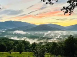 Mountain Mama- Amazing Views! + Hot Tub!