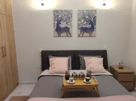 City Hall studio apartment