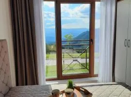 Milmari N11 Kopaonik