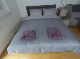 Apartman NALE