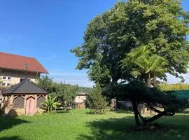 Appartement T3 73 m2 villa Les Tamaris Aix-les-Bains