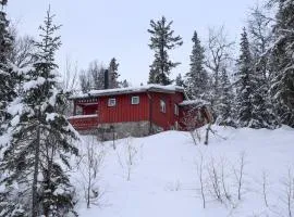 Awesome Home In Eggedal With House A Mountain View