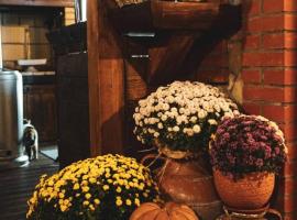 Вила Тодора Villa Todora