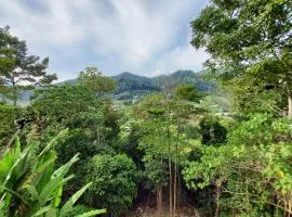 Safar Hillview