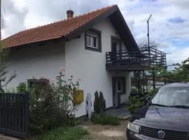 Apartments with a parking space Stubicke Toplice, Zagorje - 22028