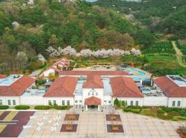 Damyang Spa and Tourist Hotel, hotel in Damyang