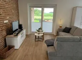 Haacksen - modernes Ferienhaus mit 4 Schlafzimmern, Garten und Grill