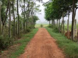 SNS Organic Farm Stay
