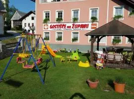 Guesthouse Pri Županu