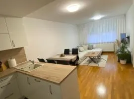 Pranjić Apartment