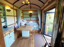 The Mallard Shepherd's Hut with Hot Tub