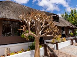 Kleinplasie Guesthouse, lodging in Springbok