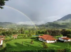 Eco Avocado Lodge