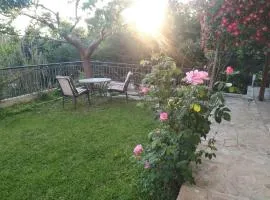HOUSE WITH GARDEN Netflix