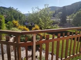 Chalet confortable près de Gérardmer avec cheminée et animaux bienvenus - FR-1-589-195