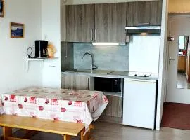 Studio au pied des pistes avec TV et animaux admis - FR-1-771-2