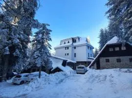 MASSIV Kopaonik centar lux apartmani