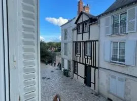 Appartement ancien à Orléans