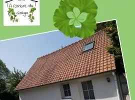 A l'ombre du ginkgo