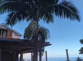 Fantatic Holiday House