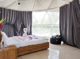 NIRVANA HOLISTIC LIVING