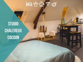 Le Nid • Cocoon • Netflix • Proche Centre-Ville, apartment sa Châteauroux