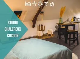 Le Nid • Cocoon • Netflix • Proche Centre-Ville