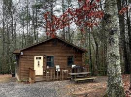 Private cozy cabin in the woods with great view, chalet de montaña en Murphy