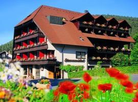 Hotel Schwarzwaldhof, hotel com estacionamento em Enzklösterle