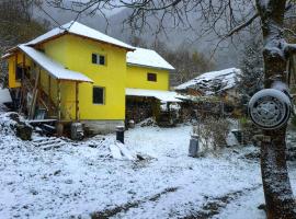 STD "Vila Bor" Stara planina, guest house in Crni Vrh