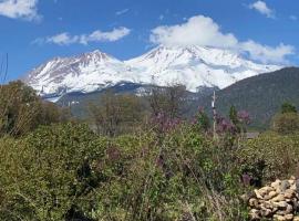 Angel cottage with a sauna or The Cozy with a jacuzzi tub, both are studios with a view of Mount Shasta, hotel in Mount Shasta