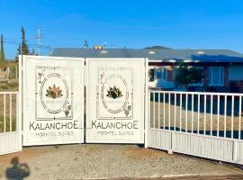 Kalanchoe Poshtel Suites，Las Palmas的公寓