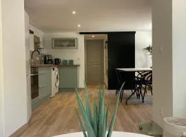 Appartement T2 rez de chaussée villa Les Tamaris Aix-les-Bains