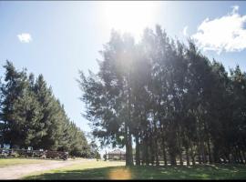 Chacra Los Arándanos, cabaña o casa de campo en Durazno