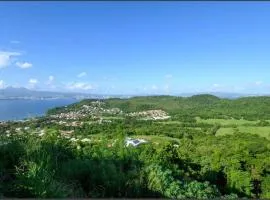 Magnifique T2 au Trois ilets avec vue Panoramique