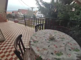 Apartment in Balatonföldvar 45316