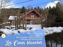 LES CIMES BLANCHES CLEDICIHOME Chalet 10 pers SPA & Grand terrain 4 MINUTES DES PISTES, cabin in La Bresse