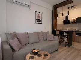 Petković apartmani 87