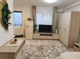 Studio gren modern!, apartman u gradu Sučava