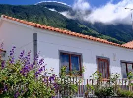 Sunflower Guest House - Madalena - Pico