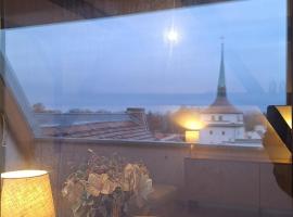 Stadtpalais Bellevue-Suite 3- Zimmer- Maisonettewohnung mit Dachterrasse maximal 4 Personen, hotel in Bautzen