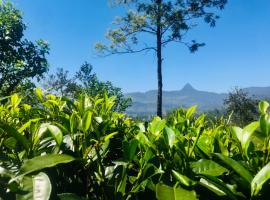 River Side Guest house, puhkemajutus sihtkohas Maskeliya